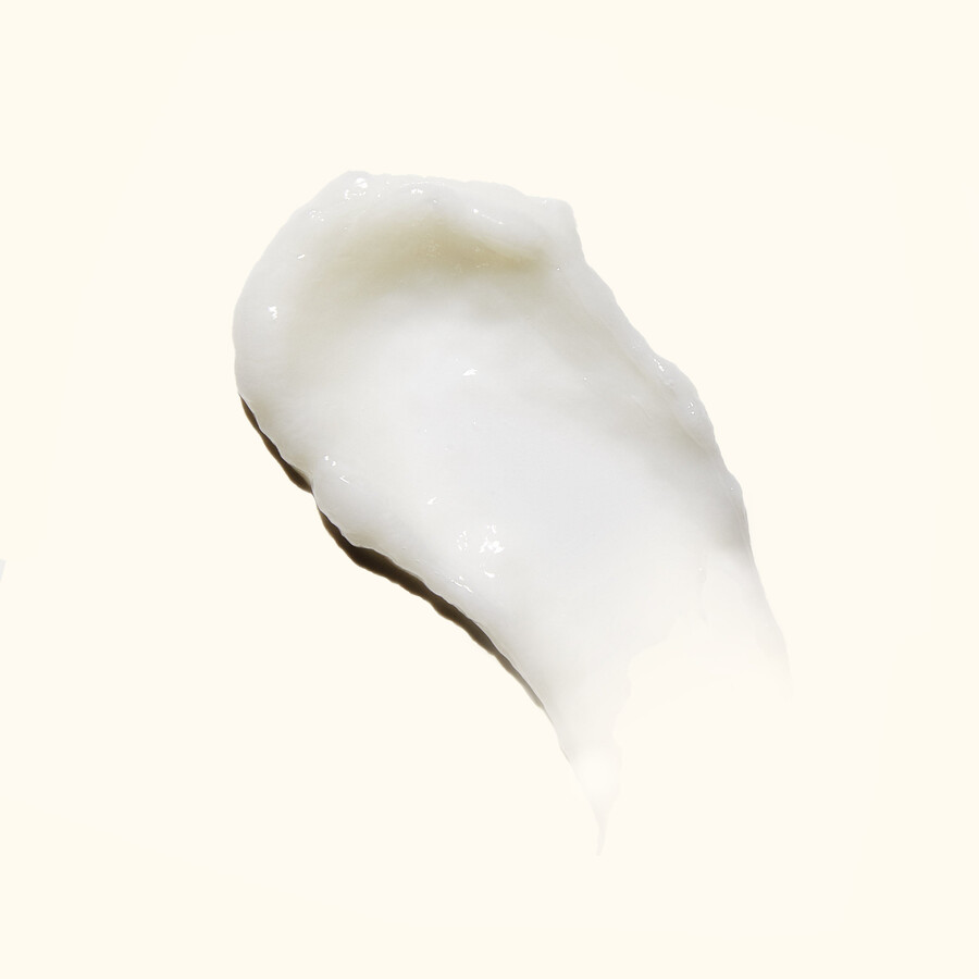 cuerpo de rizo