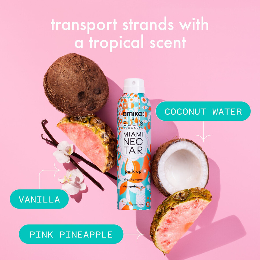 animate champú seco paraíso dúo